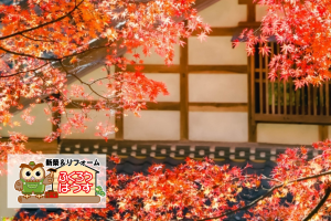 日本古来から伝わる木材の自然乾燥法と現在の強制乾燥の違いとメリット・デメリット