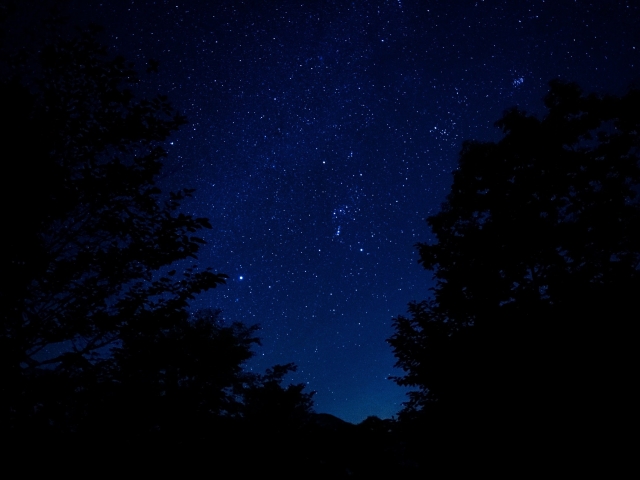 キャンプの夜は漆黒の闇です。空から降ってきそうな一面の星を眺めます