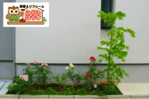 外壁の「最強」はモルタル。その次に続く選択肢とは？