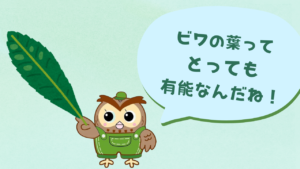 ビワの葉っぱは有能！